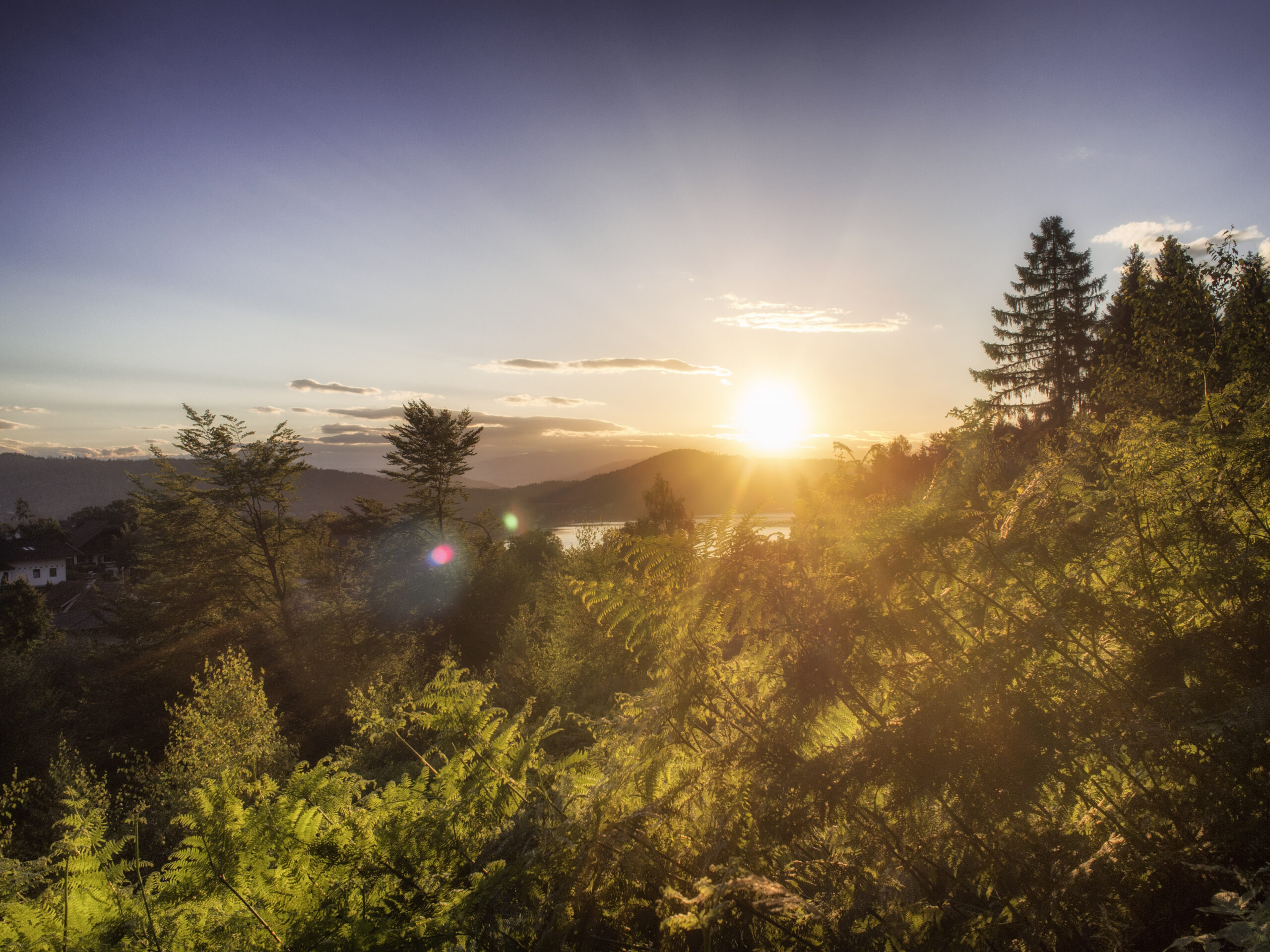 Sonnwendwanderung am Wörthersee 2026: Erlebe die längste Nacht des Jahres